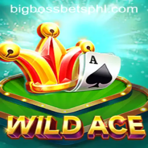 Discover the Thrilling World of WildAce and the Intriguing BIG BOSS BETS